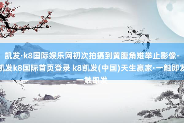 凯发·k8国际娱乐网初次拍摄到黄腹角雉举止影像-凯发k8国际首页登录 k8凯发(中国)天生赢家·一触即发