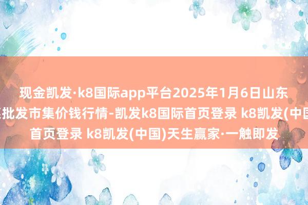 现金凯发·k8国际app平台2025年1月6日山东滨州(六街）鲁北蔬菜批发市集价钱行情-凯发k8国际首页登录 k8凯发(中国)天生赢家·一触即发