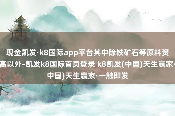 现金凯发·k8国际app平台其中除铁矿石等原料资本占相比高以外-凯发k8国际首页登录 k8凯发(中国)天生赢家·一触即发