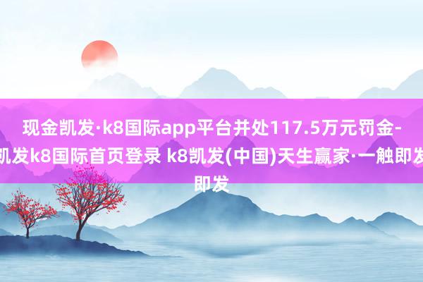 现金凯发·k8国际app平台并处117.5万元罚金-凯发k8国际首页登录 k8凯发(中国)天生赢家·一触即发