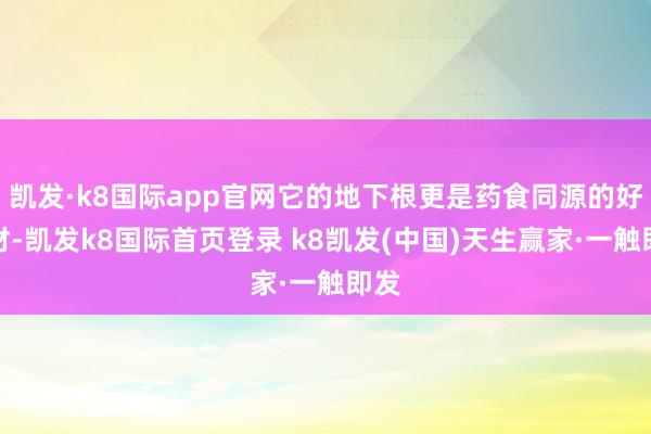 凯发·k8国际app官网它的地下根更是药食同源的好食材-凯发k8国际首页登录 k8凯发(中国)天生赢家·一触即发