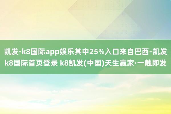 凯发·k8国际app娱乐其中25%入口来自巴西-凯发k8国际首页登录 k8凯发(中国)天生赢家·一触即发