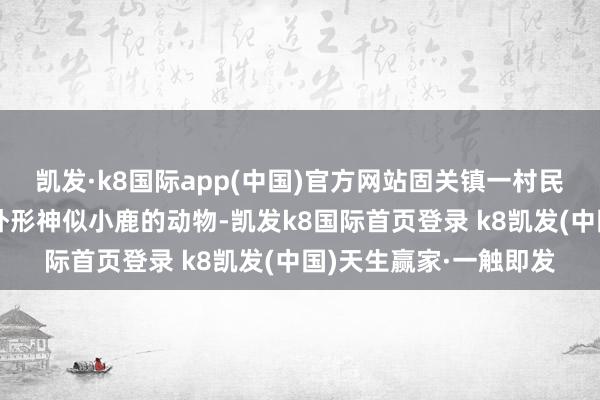 凯发·k8国际app(中国)官方网站固关镇一村民在自家后院发现一只外形神似小鹿的动物-凯发k8国际首页登录 k8凯发(中国)天生赢家·一触即发