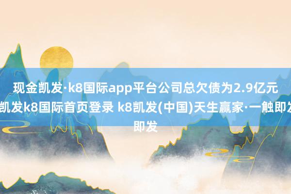 现金凯发·k8国际app平台　　公司总欠债为2.9亿元-凯发k8国际首页登录 k8凯发(中国)天生赢家·一触即发