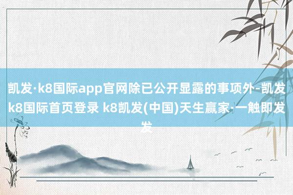 凯发·k8国际app官网除已公开显露的事项外-凯发k8国际首页登录 k8凯发(中国)天生赢家·一触即发